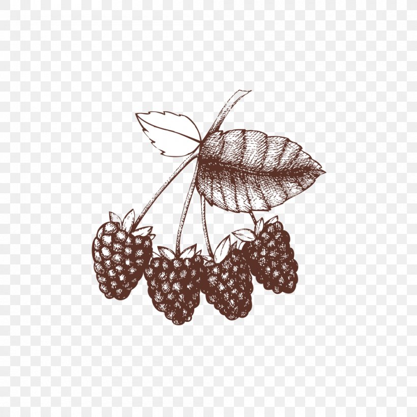 Raspberry Illustration, PNG, 1000x1000px, Raspberry, Food, Fruit, Moths And Butterflies, Photography Download Free
