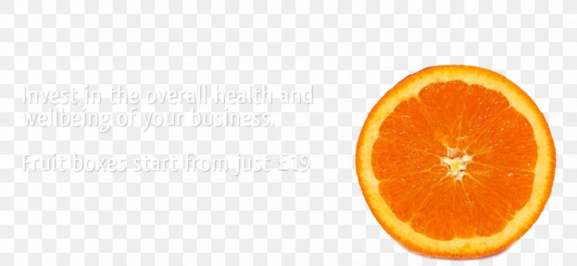 Blood Orange Knife Desktop Wallpaper, PNG, 866x401px, Blood Orange, Bitter Orange, Citric Acid, Citrus, Clementine Download Free
