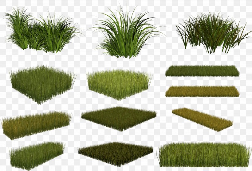 Plant Burknar Clip Art, PNG, 3943x2685px, 3d Computer Graphics, Plant, Burknar, Description, Grass Download Free