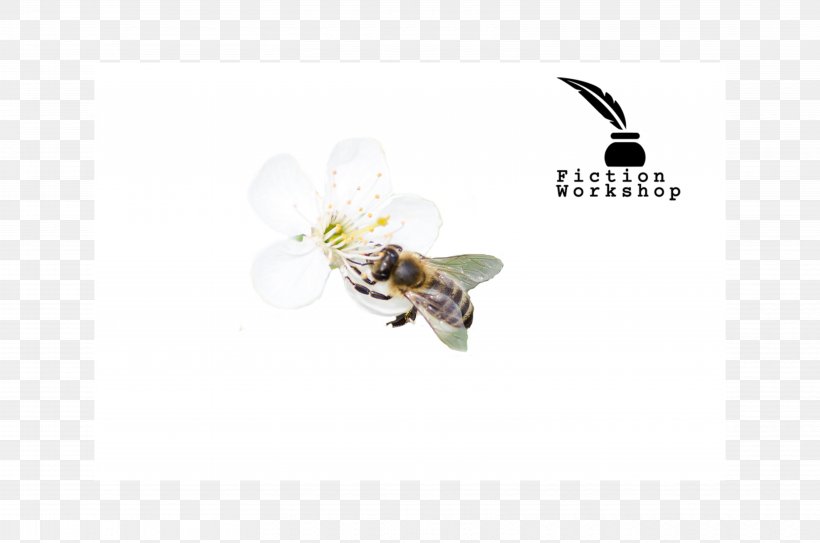 Honey Bee Font, PNG, 6496x4302px, Honey Bee, Bee, Honey, Insect, Invertebrate Download Free