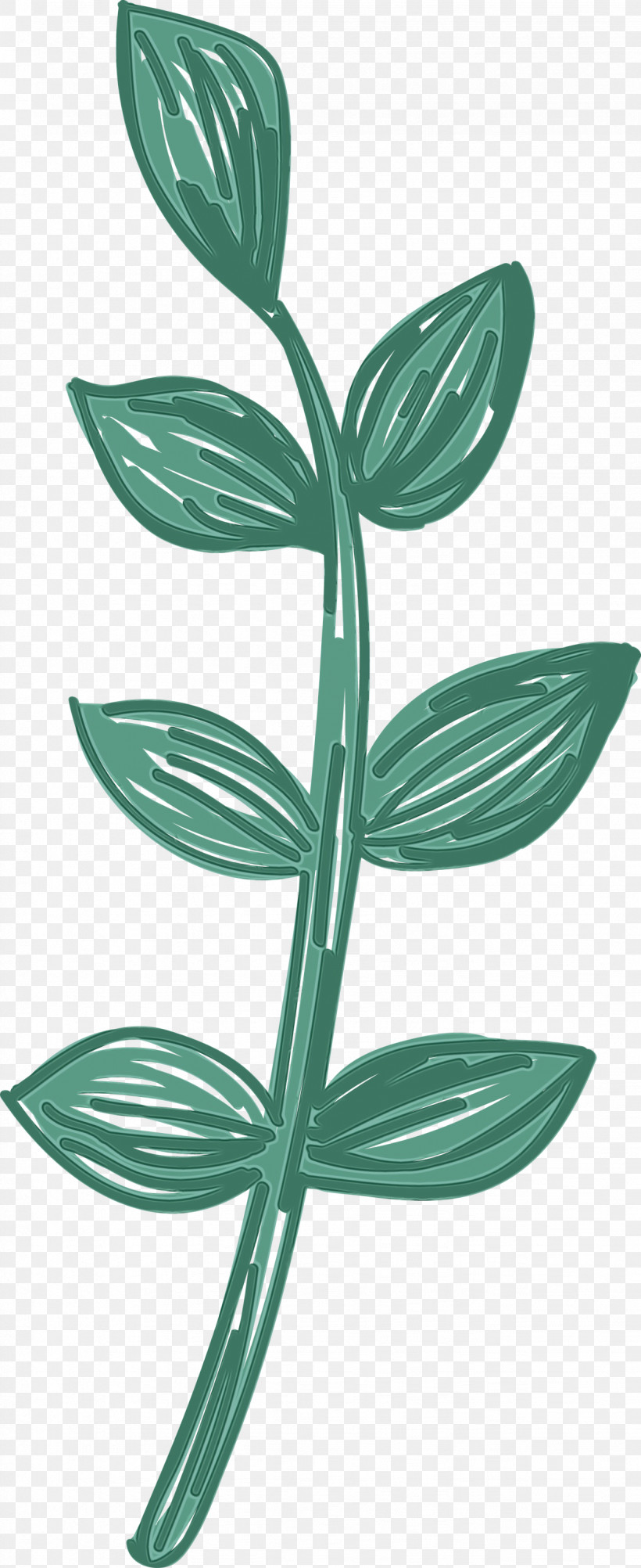 Leaf Plant Stem Flower Plants Plant Structure, PNG, 1227x2999px, Mexico Elements, Biology, Flower, Leaf, Paint Download Free