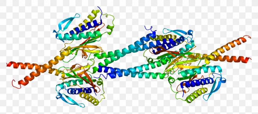 MAD1L1 Spindle Checkpoint Mitosis Protein Spindle Apparatus, PNG, 1040x463px, Watercolor, Cartoon, Flower, Frame, Heart Download Free