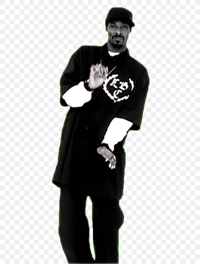 Snoop Dogg Ifunny Giphy, PNG, 624x1080px, Watercolor, Cartoon, Flower, Frame, Heart Download Free
