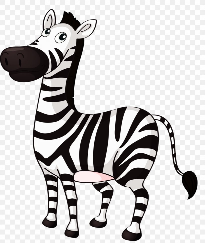 Zebra Clip Art, PNG, 1077x1280px, Zebra, Animal Figure, Black And White ...
