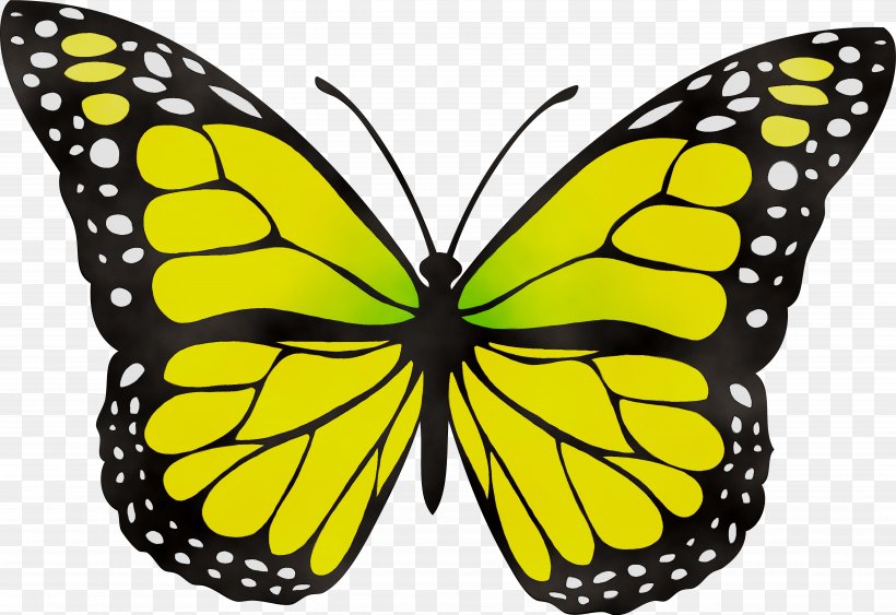 Butterfly Clip Art Insect Yellow Image, PNG, 7322x5035px, Butterfly, Arthropod, Blue, Brushfooted Butterfly, Clouded Yellow Download Free