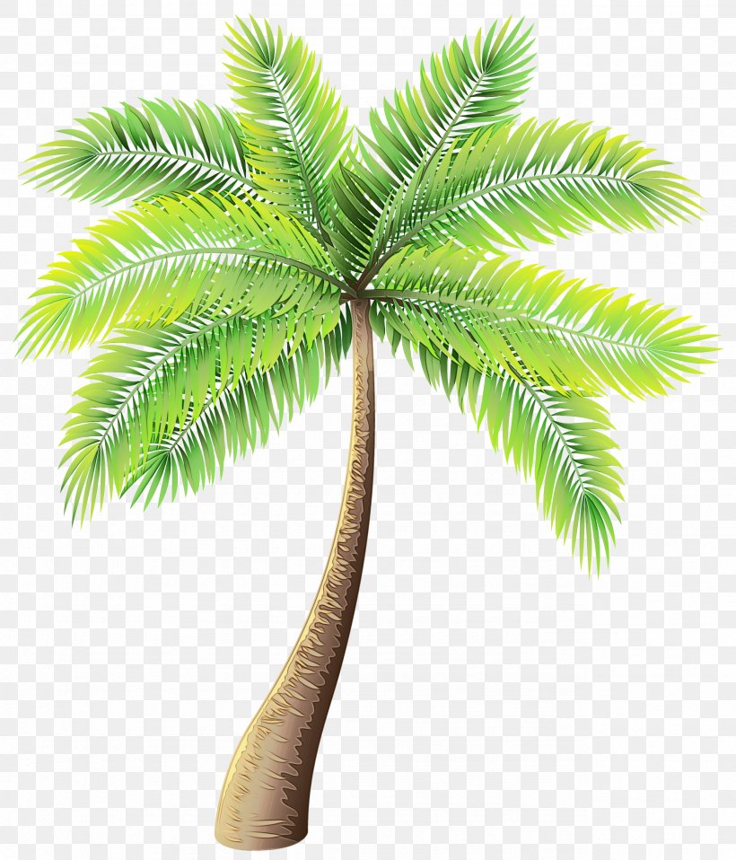 Clip Art Palm Trees Image Vector Graphics, PNG, 2567x3000px, Palm Trees, Animated Cartoon, Arecales, Art, Attalea Speciosa Download Free