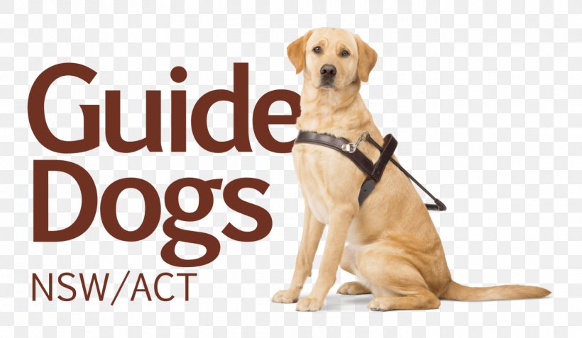Labrador Retriever Puppy Dog Breed Companion Dog Guide Dog, PNG, 1400x816px, Labrador Retriever, Brand, Carnivoran, Companion Dog, Dog Download Free