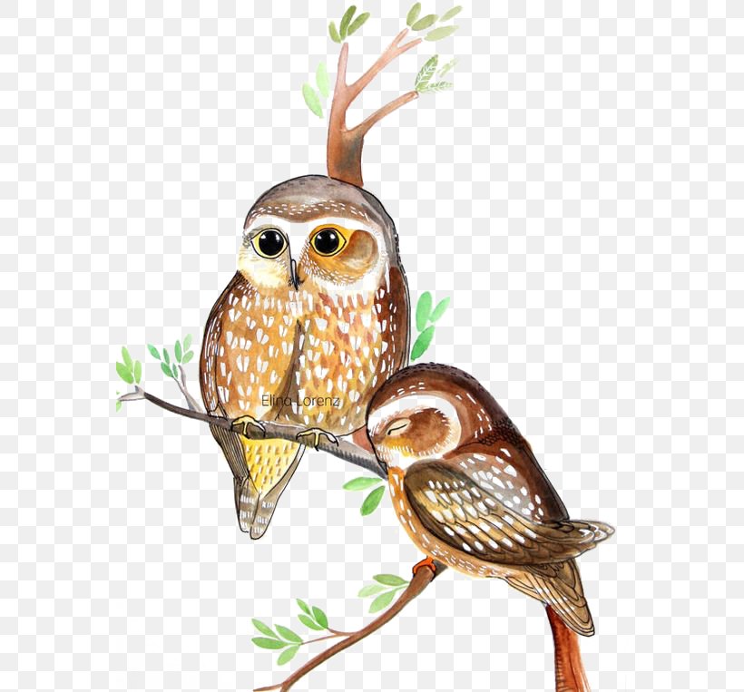 Owl Watercolor Painting, PNG, 564x763px, Owl, Beak, Bird, Bird Of Prey, Color Download Free