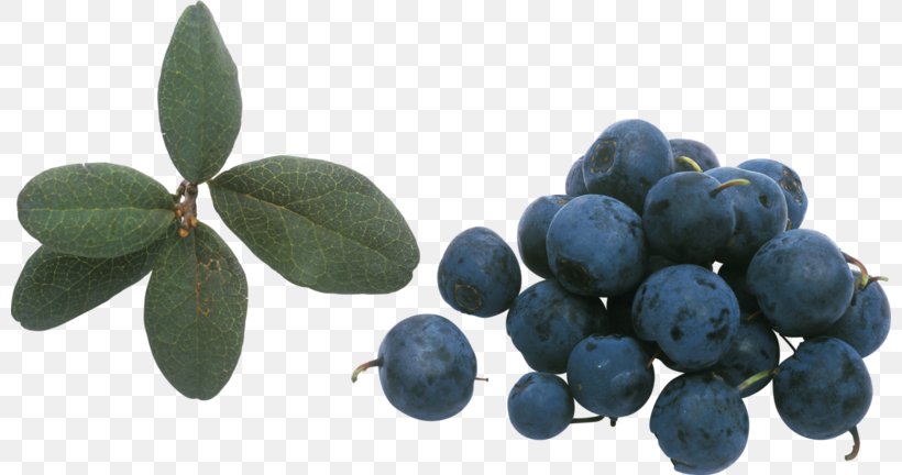 Bilberry Beaujolais Blueberry Huckleberry, PNG, 800x432px, Bilberry, Arbutin, Auglis, Beaujolais, Berry Download Free