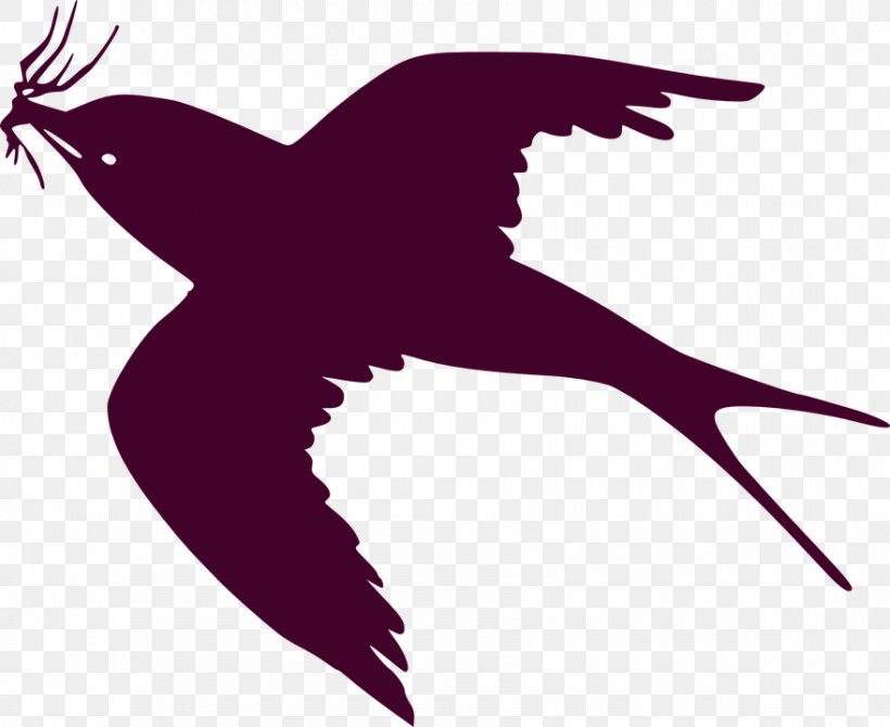 Bird Swallow Clip Art Vector Graphics Drawing, PNG, 880x720px, Bird, Art, Beak, Bird Flight, Bird Nest Download Free