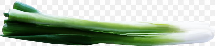 Cucumber Shoe Close-up, PNG, 1525x331px, Cucumber, Closeup, Shoe, Vegetable Download Free