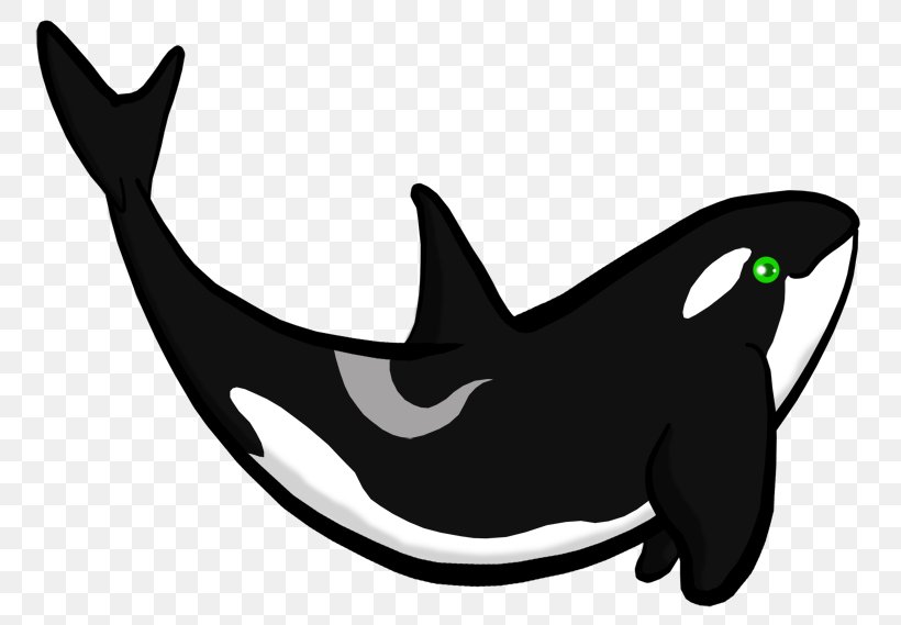 Dolphin Killer Whale Whale Shark Wildlife, PNG, 800x569px, Dolphin, Artist, Automotive Design, Black And White, Cartoon Download Free