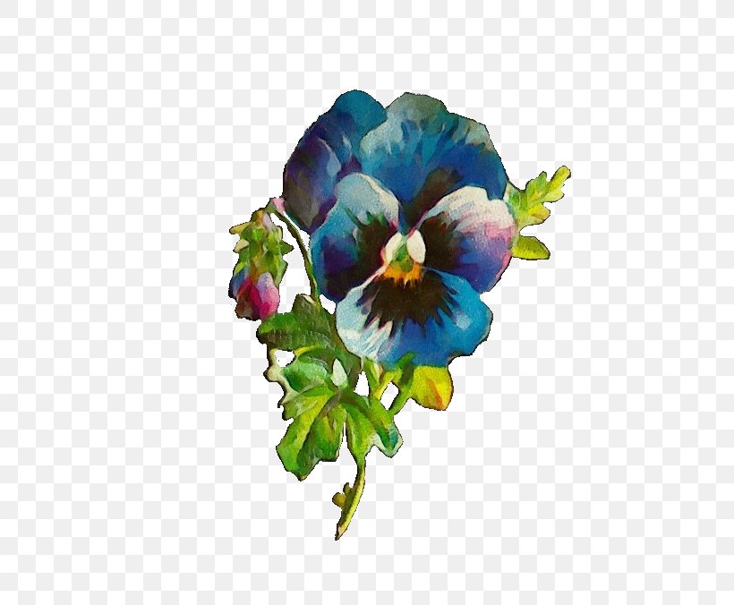 Flower Plant Violet Pansy Petal, PNG, 676x676px, Watercolor, Anemone, Bouquet, Flower, Paint Download Free