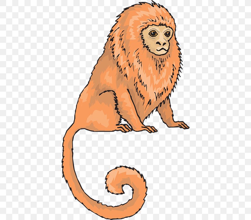 Golden Lion Tamarin Pygmy Marmoset Monkey Clip Art, PNG, 418x720px, Golden Lion Tamarin, Animal Figure, Artwork, Big Cats, Blackandwhite Colobuses Download Free