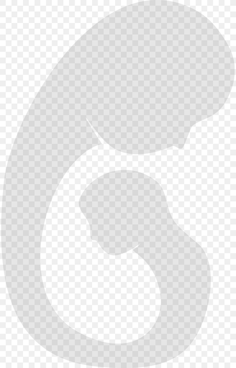 White, PNG, 811x1279px, White, Black And White, Nose, Oval Download Free
