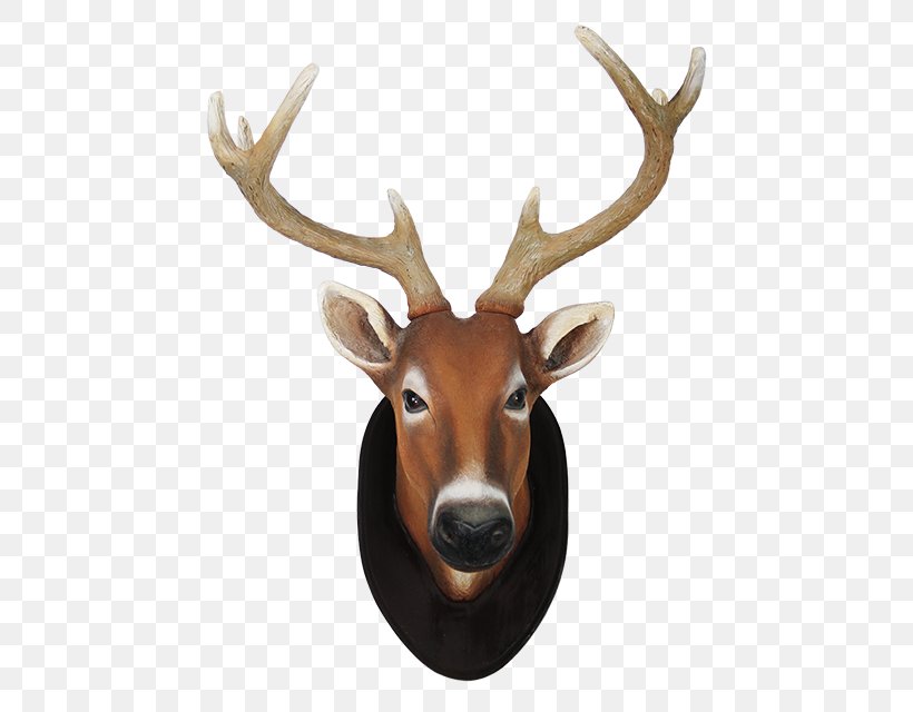 Reindeer White-tailed Deer Elk Animal, PNG, 640x640px, Deer, Animal, Animal Sauvage, Antler, Calf Download Free