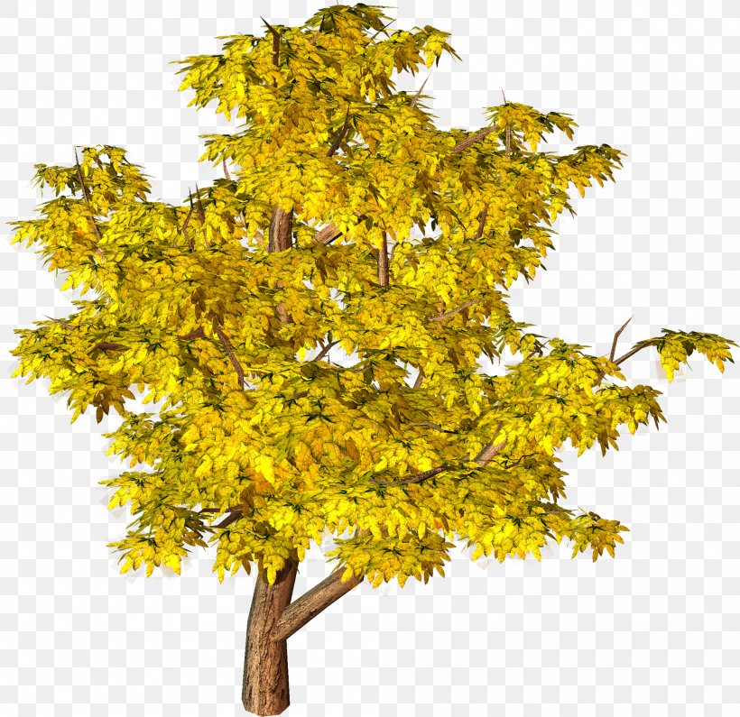 Tree Yellow Clip Art, PNG, 2000x1941px, Arboles Y Arbustos, Architectural Rendering, Autumn, Branch, Evergreen Download Free