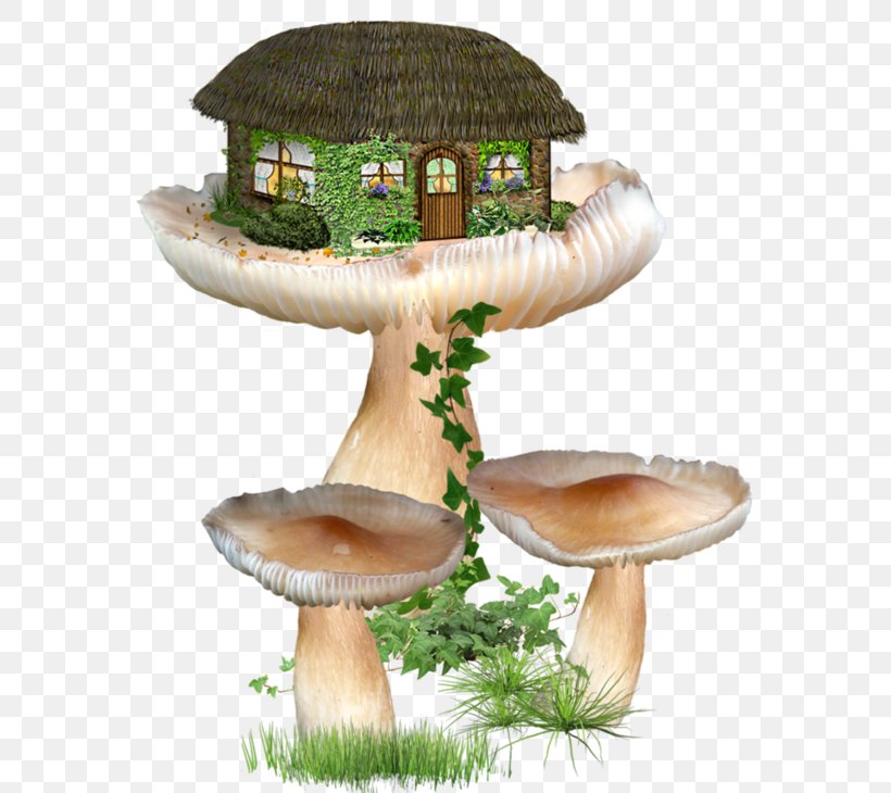 Fairy Tale House Clip Art, PNG, 600x730px, Fairy, Bit, Edible Mushroom, Elf, Fairy Tale Download Free