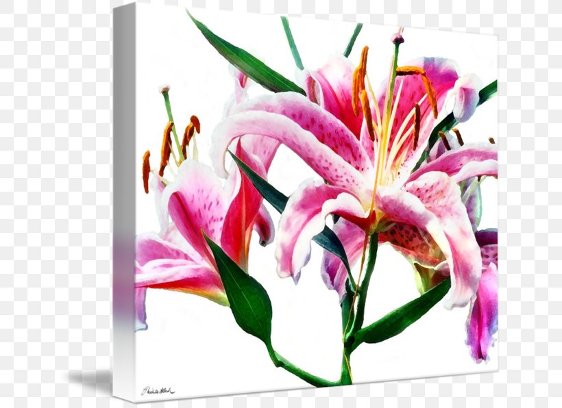 Floral Design Gallery Wrap Cut Flowers Lilium, PNG, 650x596px, Floral Design, Art, Canvas, Cut Flowers, Flora Download Free