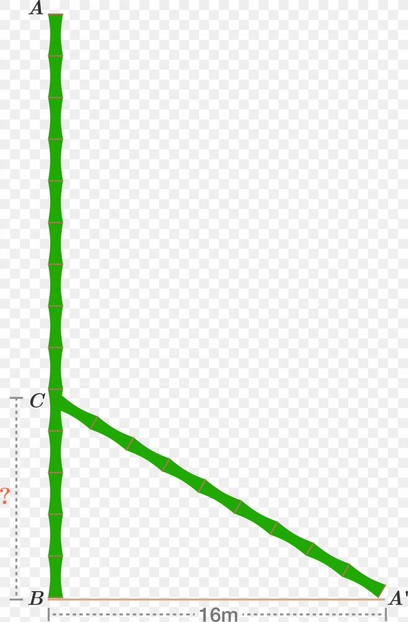 Geometry Pythagorean Theorem Mathematics Angle Meter, PNG, 1468x2239px, Geometry, Area, Com, Grass, Green Download Free