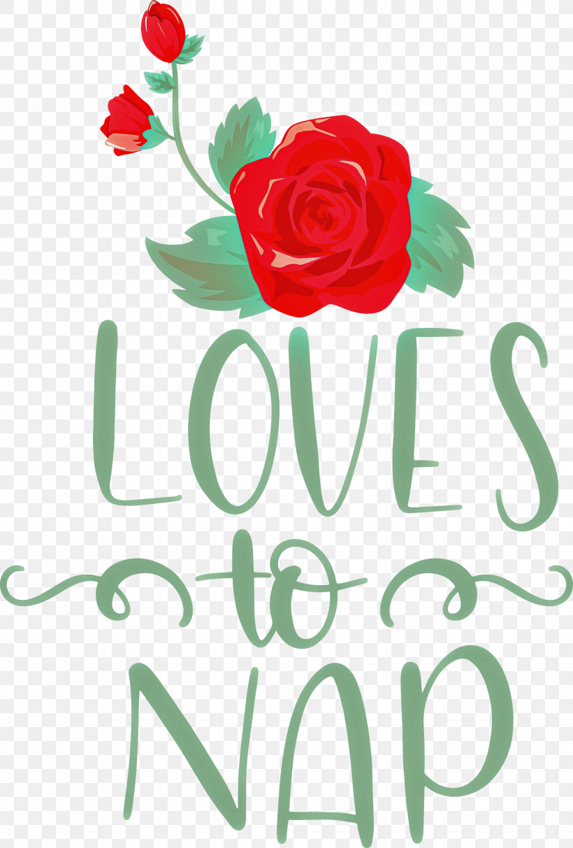 Loves To Nap, PNG, 2028x3000px, Floral Design, Cut Flowers, Flower, Flower Bouquet, Garden Roses Download Free