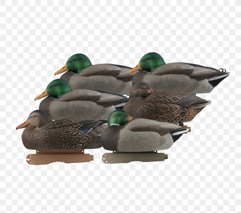 Mallard Duck Decoy Duck Decoy Goose, PNG, 1600x1417px, Mallard, Atlantic Flyway, Beak, Bird, Business Download Free