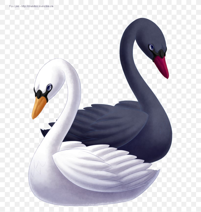 Princess Odette Goose Duck Black Swan Drawing, PNG, 782x861px, Princess Odette, Anatidae, Ballet, Beak, Bird Download Free