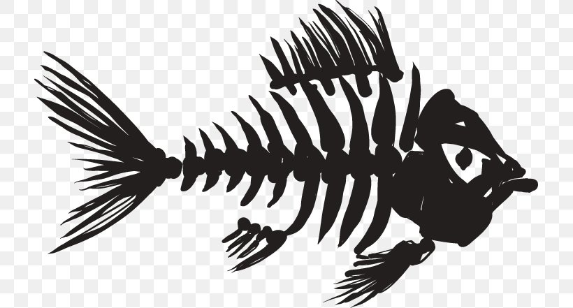 Skeleton Fish Bone Fish Bone Clip Art, PNG, 721x441px, Skeleton, Black And White, Bone, Carnivoran, Diversity Of Fish Download Free