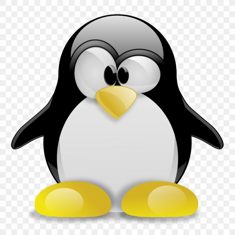 Tux Racer Tux Typing Penguin Linux, PNG, 1000x1000px, Tux Racer, Android, Beak, Bird, Computer Software Download Free