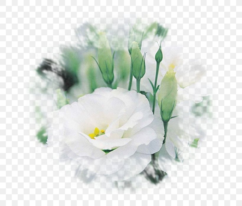 Cut Flowers Eustoma Russellianum Flower Bouquet Plant, PNG, 700x700px, Flower, Artificial Flower, Bride, Color, Cut Flowers Download Free
