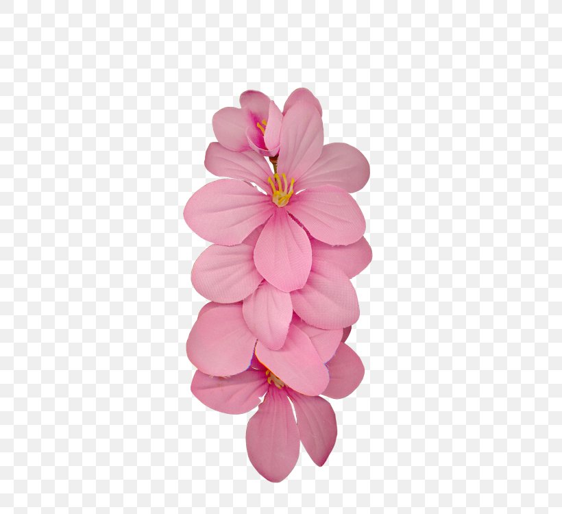 Dahlia Cut Flowers Petal Cherry Blossom, PNG, 500x750px, Dahlia, Blossom, Cherry, Cherry Blossom, Cut Flowers Download Free