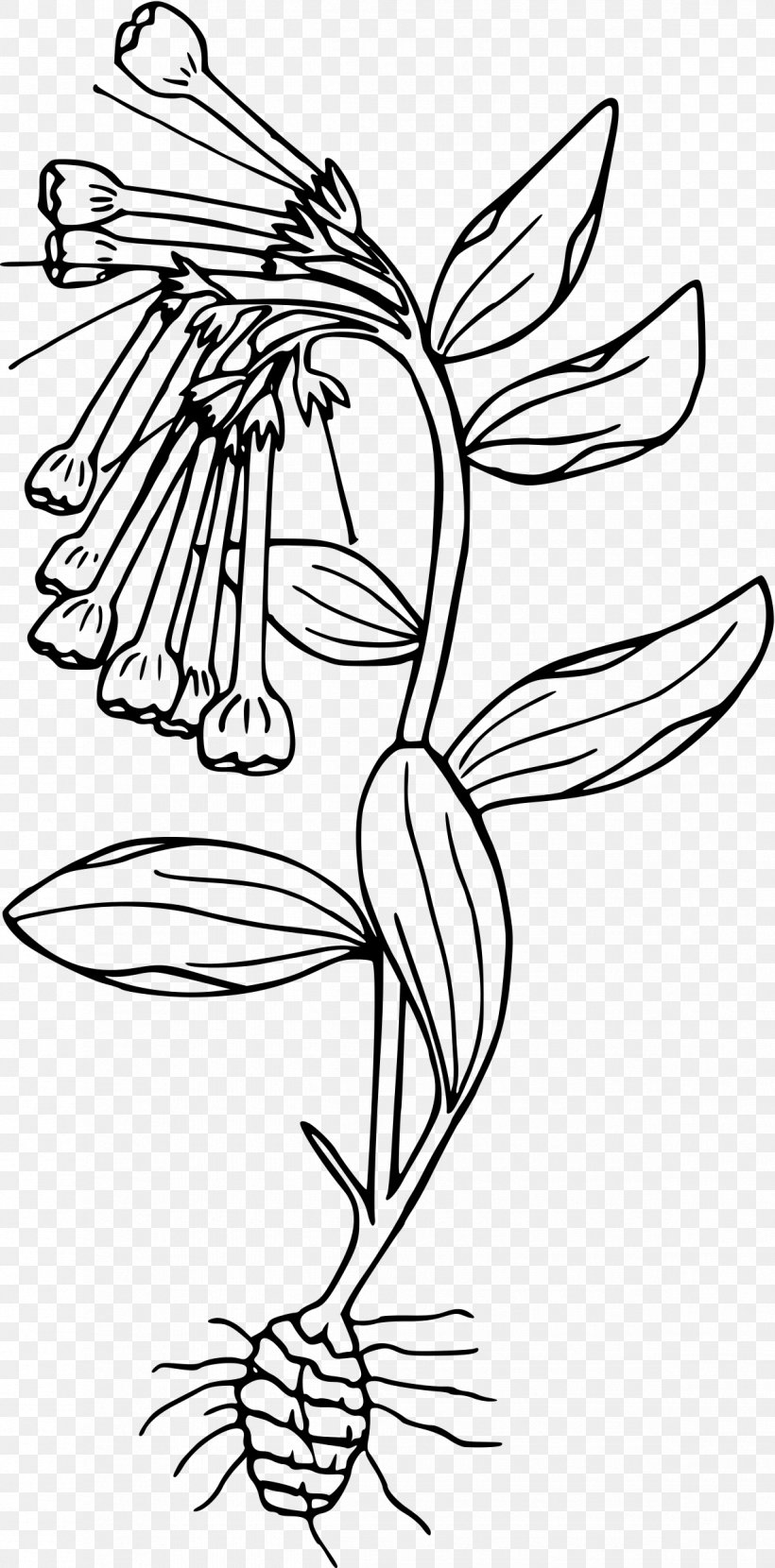 Drawing Black And White Clip Art, PNG, 1185x2400px, Drawing, Art, Artwork, Black, Black And White Download Free