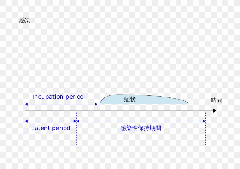 Incubation Period Infection Pathogen Virus Latency Symptom, PNG, 1024x724px, Incubation Period, Area, Body, Brand, Concept Download Free