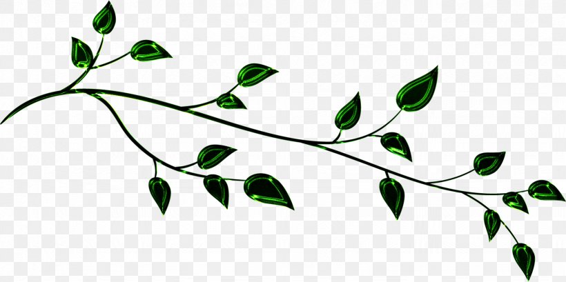 Twig Green Plant Stem Leaf Clip Art, PNG, 1642x819px, Twig, Black, Black And White, Branch, Flora Download Free