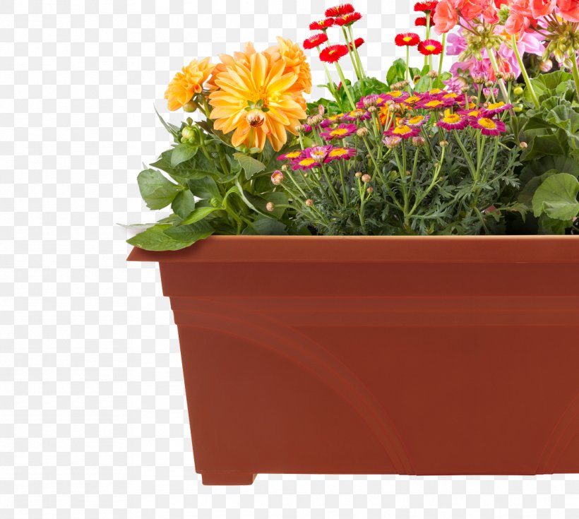Amazon.com Flowerpot Container Garden, PNG, 1115x1000px, Amazoncom, Annual Plant, Bedding, Container Garden, Cut Flowers Download Free