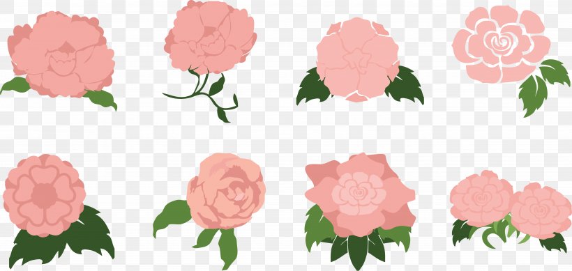 Garden Roses Anemone Coronaria Centifolia Roses Pink, PNG, 5296x2517px, Garden Roses, Anemone, Anemone Coronaria, Centifolia Roses, Cut Flowers Download Free