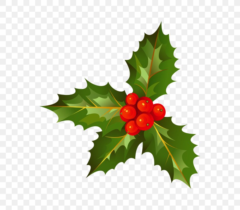 Holly Christmas Day Image Christmas Decoration, PNG, 715x715px, Holly, American Holly, Aquifoliales, Berry, Branch Download Free
