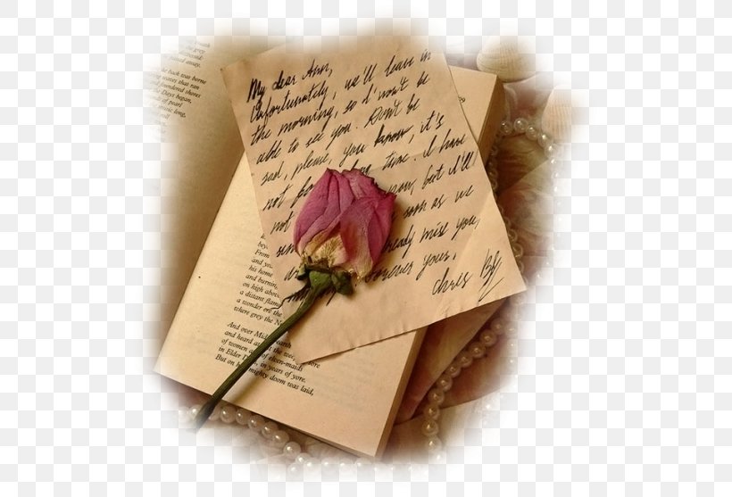Los Mejores Poemas Text Poetry, PNG, 529x557px, Text, Blog, Box, Digital Image, Flower Download Free