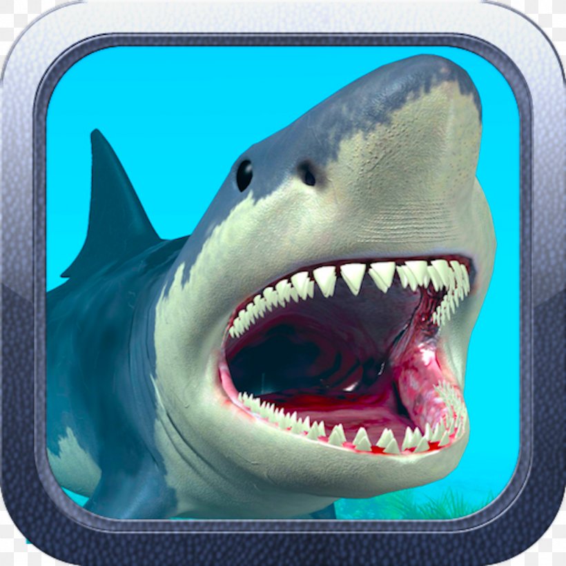 Minecraft Mods Minecraft Mods Video Game Shark, PNG, 1024x1024px, Minecraft, Carcharhiniformes, Cartilaginous Fish, Film, Fish Download Free