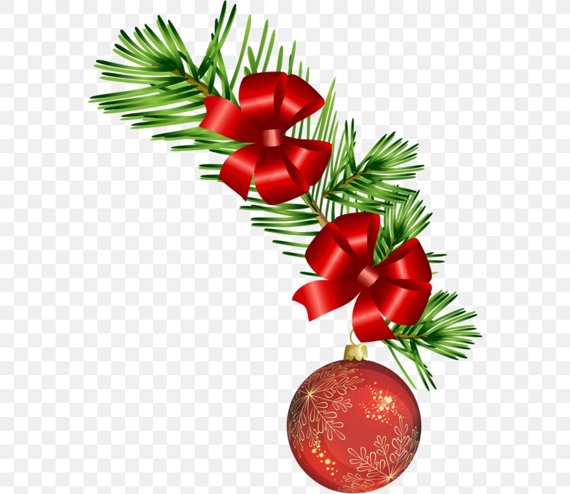Christmas Ornament New Year Christmas Decoration Santa Claus, PNG, 568x711px, Christmas Ornament, Ball, Bolas, Branch, Christmas Download Free