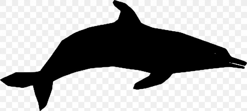 Common Bottlenose Dolphin Porpoise Clip Art Cetaceans, PNG, 1660x750px, Common Bottlenose Dolphin, Art, Bottlenose Dolphin, California Sea Lion, Cetacea Download Free