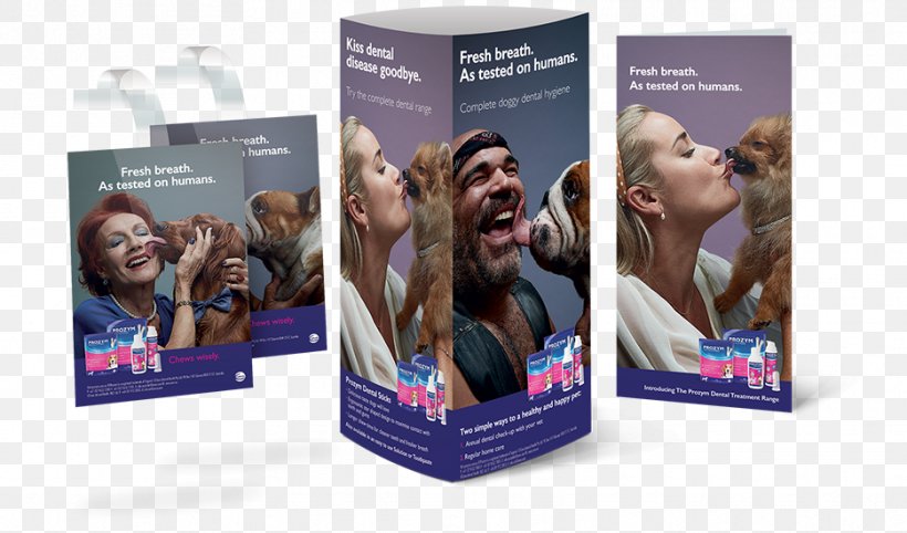 Dentistry Advertising Dental Surgery Brand Therapy, PNG, 935x550px, Dentistry, Advertising, Brand, Brochure, Dental Surgery Download Free