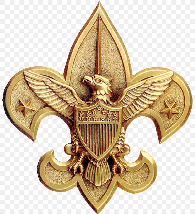 Narragansett Council New Birth Of Freedom Council Boy Scouts Of America Scouting Eagle Scout, PNG, 800x901px, Narragansett Council, Badge, Boy Scouts Of America, Brass, Court Of Honor Download Free