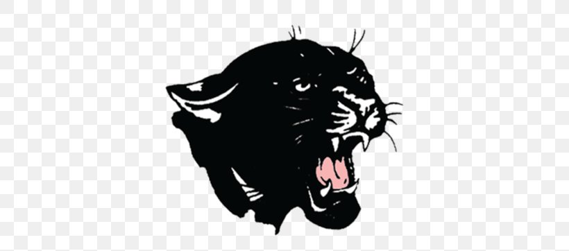Carolina Panthers New England Patriots Sport Clip Art, PNG, 480x362px, Carolina Panthers, American Football, Big Cats, Black, Black Panther Download Free