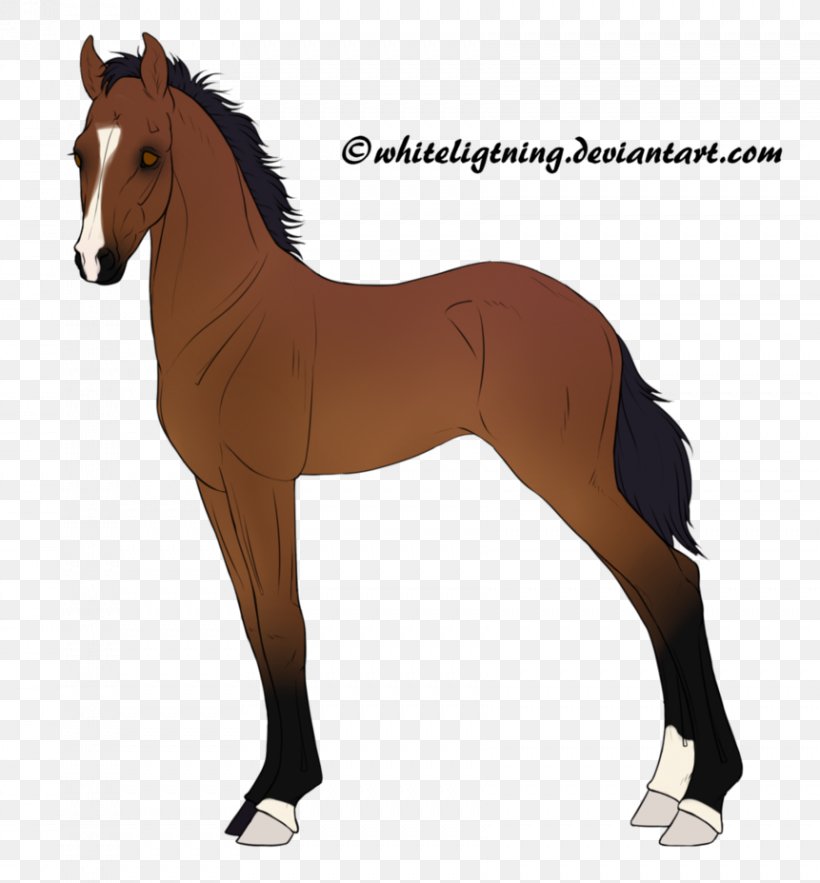 Mane Pony Stallion Mare Foal, PNG, 861x928px, Mane, Bridle, Colt, Foal, Halter Download Free