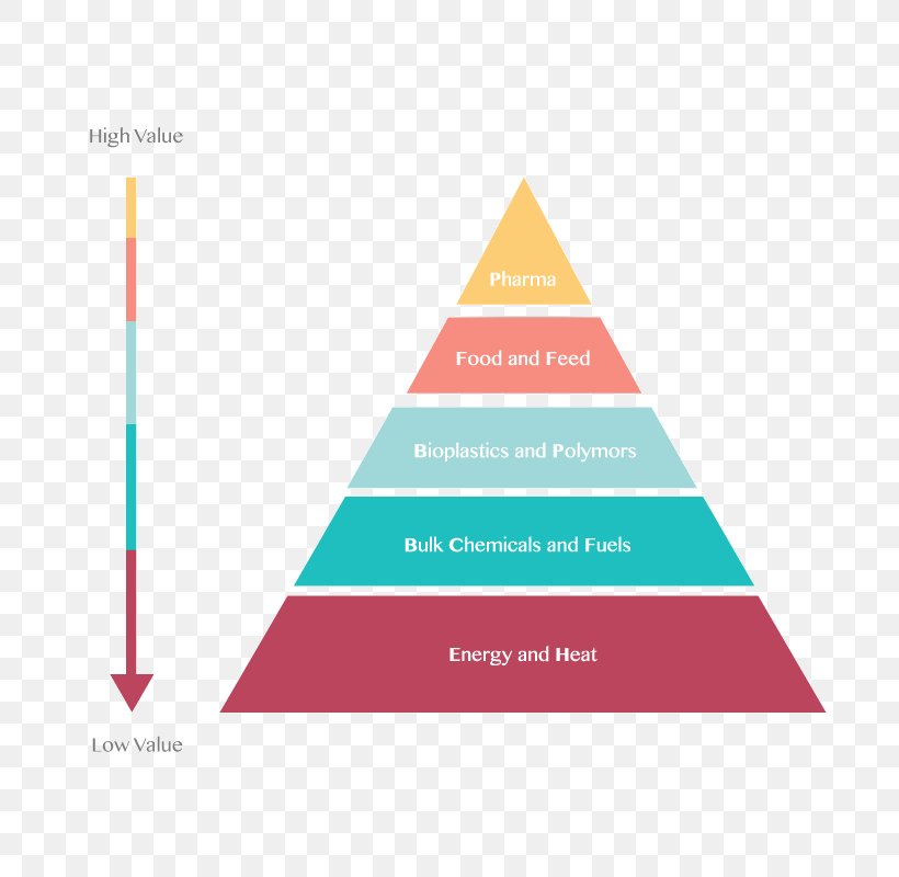 Maslow's Hierarchy Of Needs Management Business Motivation, PNG, 800x800px, Management, Abraham Maslow, Belongingness, Brand, Business Download Free