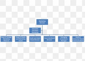 Dhl Organization Chart