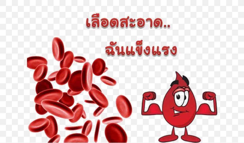 Red Blood Cell White Blood Cell Hematologic Disease, PNG, 642x481px, Red Blood Cell, Anticoagulant, Area, Blood, Blood Cell Download Free