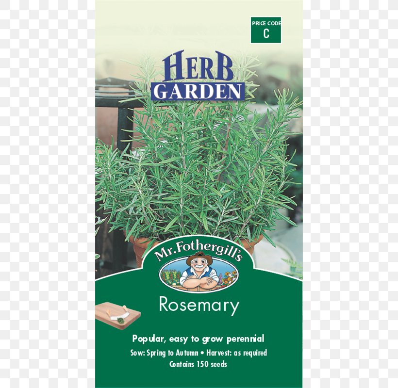 Rosemary Herb Seed Tarragon Spice, PNG, 800x800px, Rosemary, Ashitaba, Benih, Common Sage, Coriander Download Free