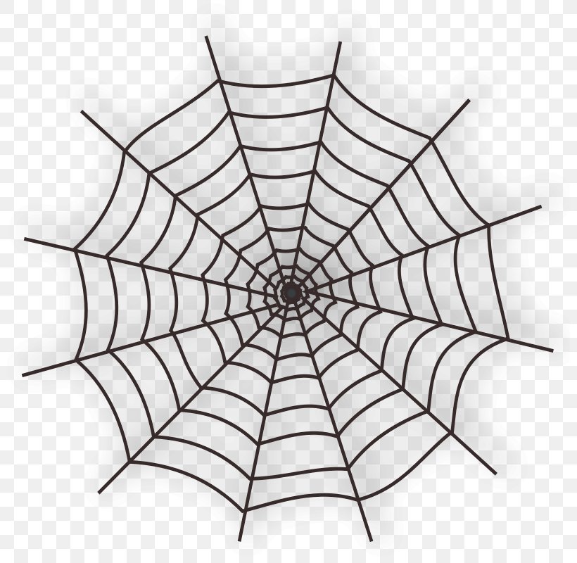 Spider Web Clip Art, PNG, 800x800px, Spider Web, Area, Black And White, Drawing, Leaf Download Free